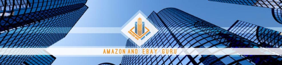 Amazon Expert: Amazon and eBay Guru